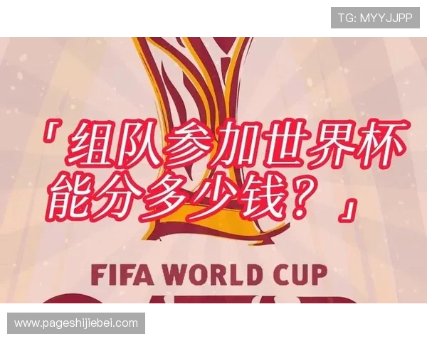 世界杯奖金分配标准详解，最高奖金如何确定及其计算方式